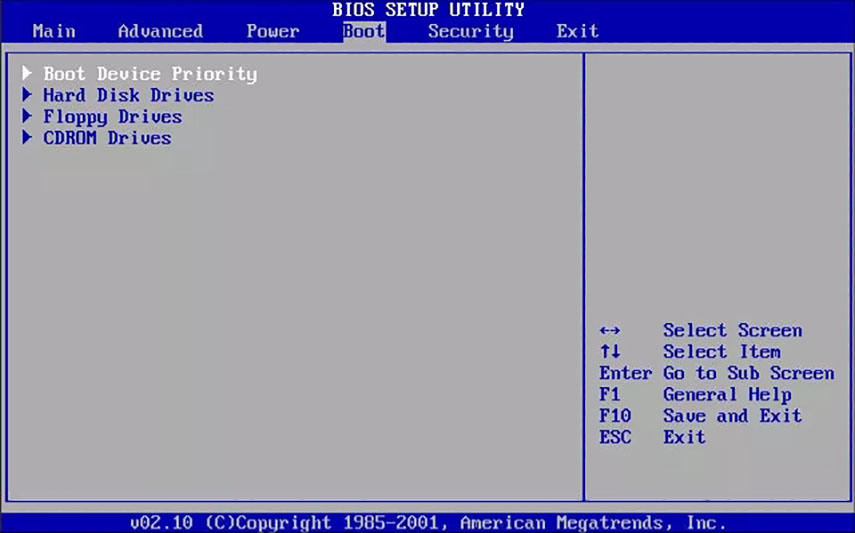 Accedi al Bios del PC e seleziona la USB come disco di avvio primario