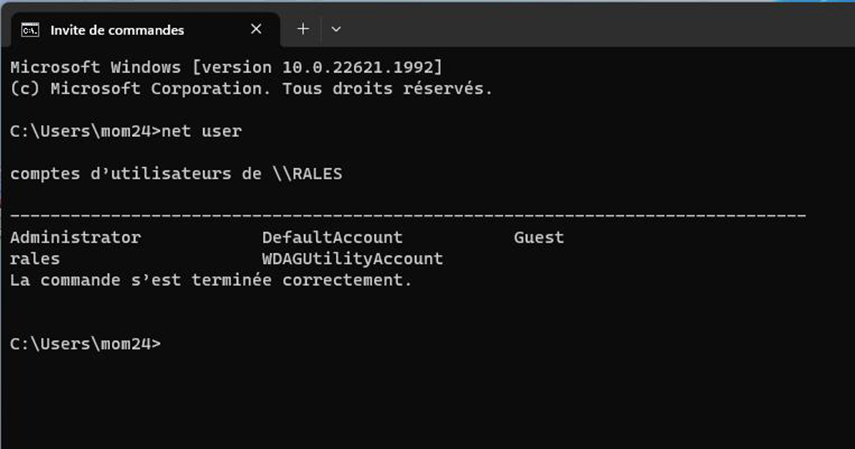  Recupera la password dal prompt dei comandi