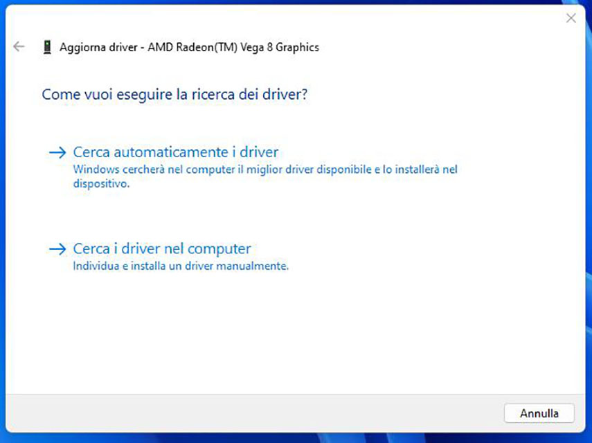 cerca automaticamente i driver
