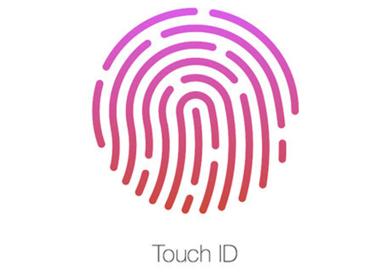touch id apple